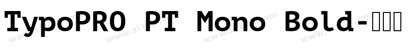 TypoPRO PT Mono Bold字体转换